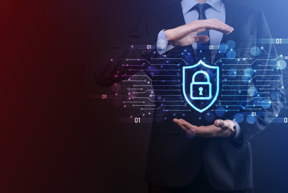 Enterprise Security - Protected database and encryption shield
